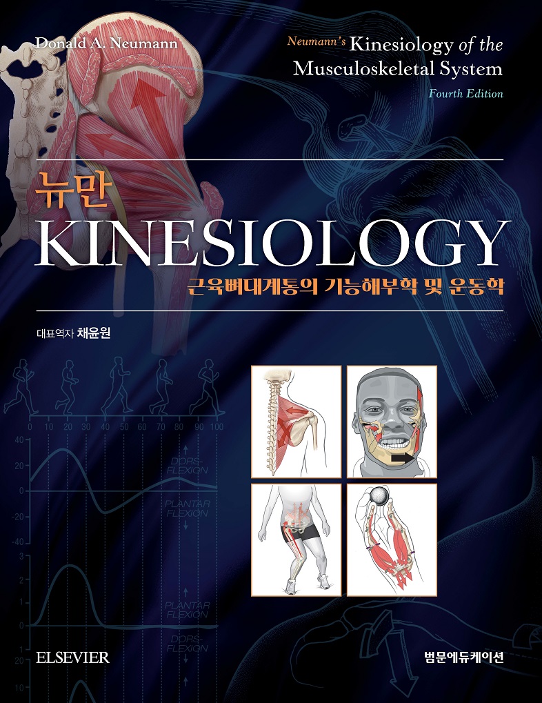 뉴만 Kinesiology 4판