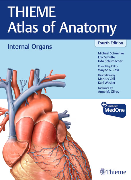 Internal Organs-4판