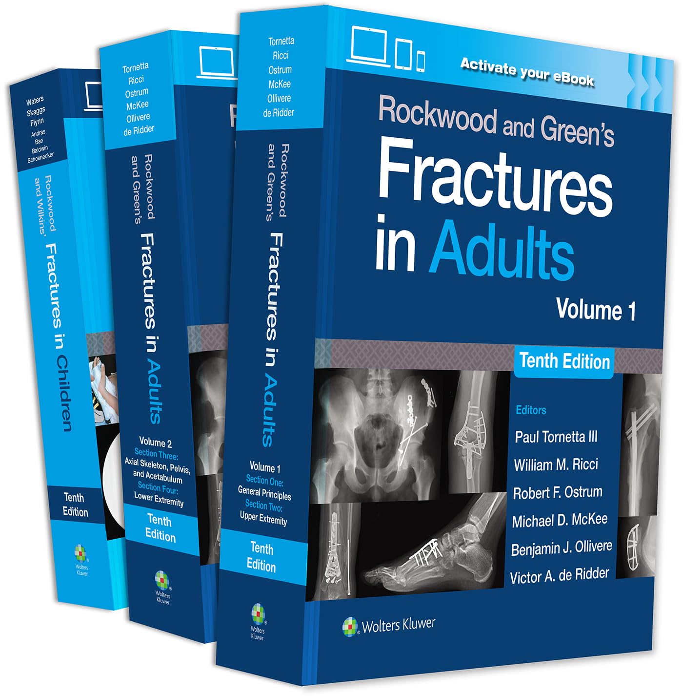 Rockwood and Green`s Fractures in Adults-10판(Children)포함