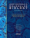 Short Protocols in Molecular Biology 2 vol-5판