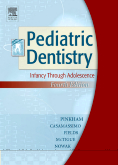 Pediatric Dentistry 4/e