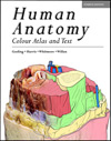 Human Anatomy-4판-Color Atlas and Text