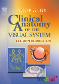 Clinical Anatomy Of The Visual System 2/e