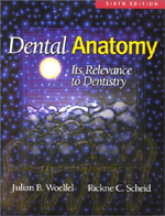 Dental Anatomy: Its Relevance to Dentistry-6판