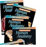 Acland's DVD Atlas of Human Anatomy (DVD CD-ROM Set of 6)