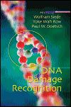 DNA Damage Recognition-1판