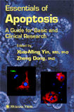 Essentials of Apoptosis : A Guide for Basic and Clinical Research