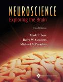Neuroscience: Exploring the Brain 3/e (Paperback + CD Package)