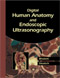 Digital Human Anatomy and Endoscopic Ultrasonography