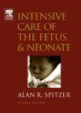 Intensive Care of the Fetus and Neonate-2판