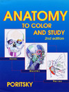 Anatomy to Color and Study-2판
