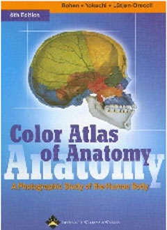 Color Atlas of Anatomy : A Photographic Study of the Human Body