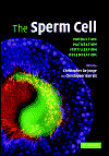 The Sperm Cell:Production Maturation Fertilization Regeneration