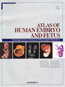 Atlas of Human Embryo and Fetus