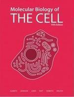 Molecular Biology of the Cell 5/E (Paperback)(BK+CD)