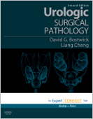 Urologic Surgical Pathology 2/e