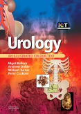 Urology - An Illustrated Colour Text
