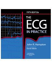 The ECG In Practice 5/e