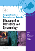 Ultrasound in Obstetrics and Gynaecology Book and CD-ROM