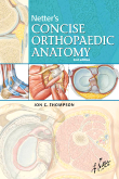 Netter's Concise Orthopaedic Anatomy-2판