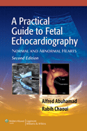 A Practical Guide to Fetal Echocardiography : Normal and Abnormal Hearts