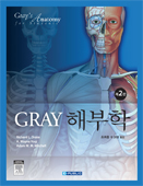 Gray`해부학-2판