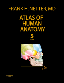 Atlas of Human Anatomy Professional Edition-판
