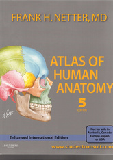 Atlas of Human Anatomy 5/e(IE)(Paperback)