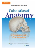 Color Atlas of Anatomy-7판