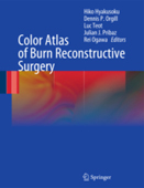 Color Atlas of Burn Reconstructive Surger