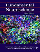 Fundamental Neuroscience 3/e