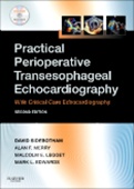 Practical Perioperative Transesophageal Echocardiography 2/e