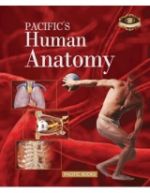 PACIFIC'S Human Anatomy (퍼시픽 인체 해부학)