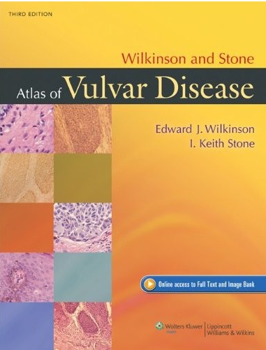 Wilkinson and Stone Atlas of Vulvar Disease-3판