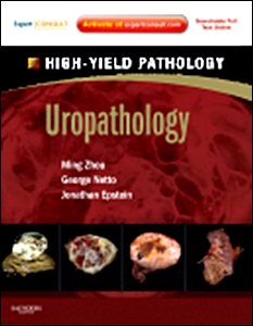 Uropathology: A Volume in the High Yield Pathology Series