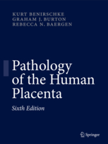 Pathology of the Human Placenta 6/e