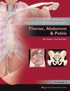 Lippincott's Concise Illustrated Anatomy: Thorax Abdomen and Pelvis