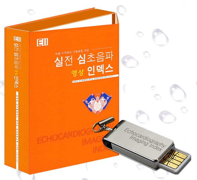 실전 심초음파 영상 인덱스 ( USB version )