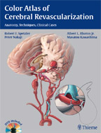 Color Atlas of Cerebral Revascularization: Anatomy Techniques Clinical Cases
