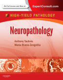 Neuropathology: A Volume in the High Yield Pathology Series