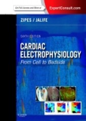 Cardiac Electrophysiology: From Cell to Bedside 6/e