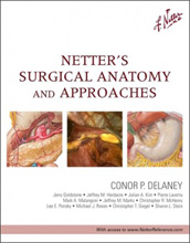 Netter's Surgical Anatomy and Approaches-1판