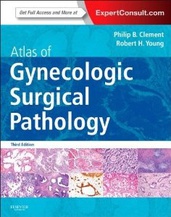 Atlas of Gynecologic Surgical Pathology: Expert Consult: Online and Print 3e