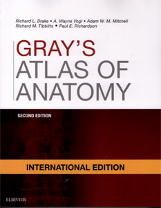 Gray's Atlas of Anatomy-2판: with STUDENT CONSULT Online Access(IE)