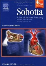 Sobotta - Atlas of Human Anatomy-14판(One Volume Edition)