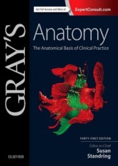Gray's Anatomy 41/e
