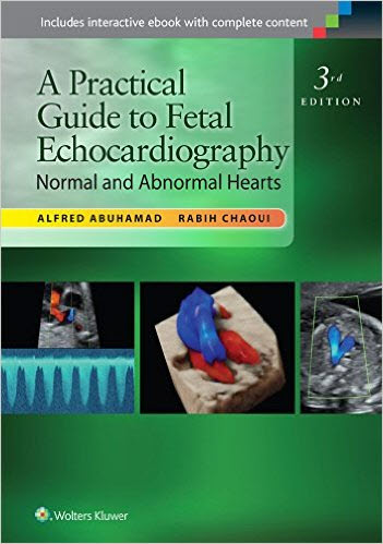 A Practical Guide to Fetal Echocardiography: Normal and Abnormal Hearts-3판
