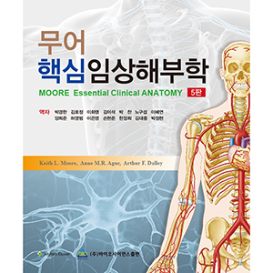 무어핵심임상해부학 5판 (MOORE Essential Clinical ANATOMY 5/E 번역)