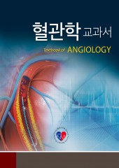 혈관학교과서-Textbook of Angiology