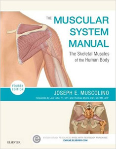 The Muscular System Manual: The Skeletal Muscles of the Human Body 4/e